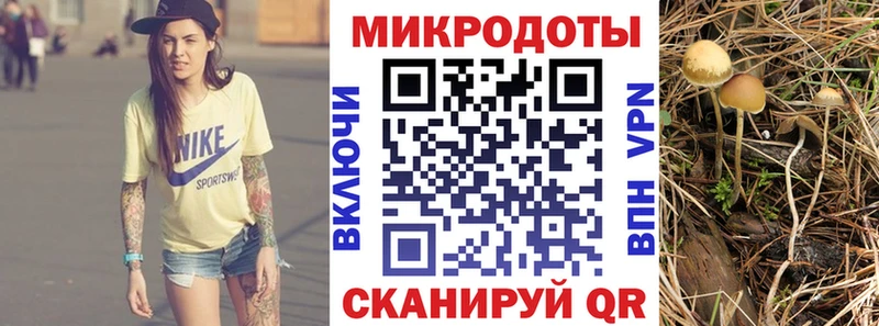 Галлюциногенные грибы Psilocybine cubensis Бологое